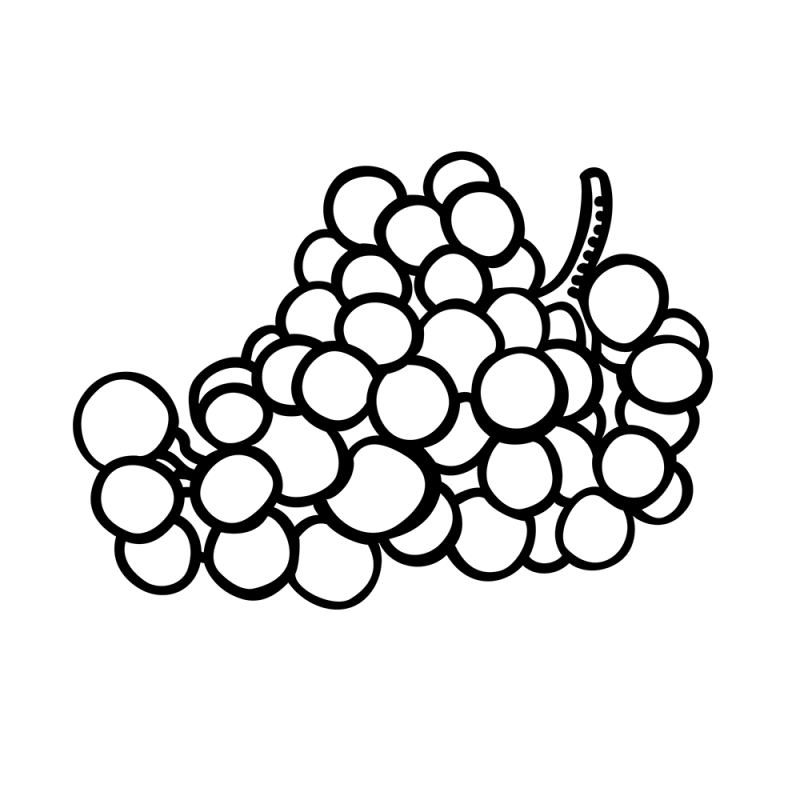 葡萄