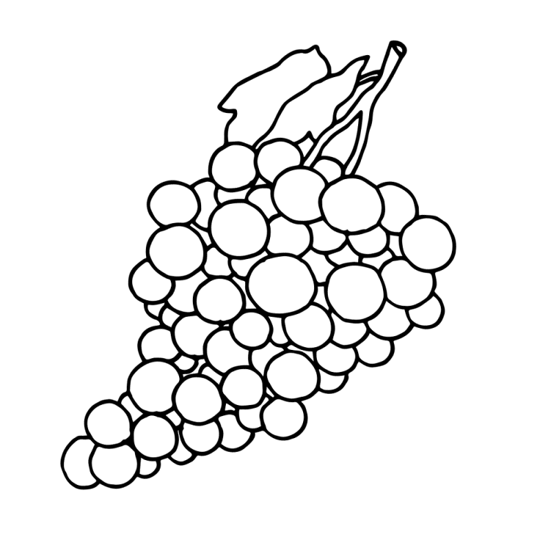 葡萄