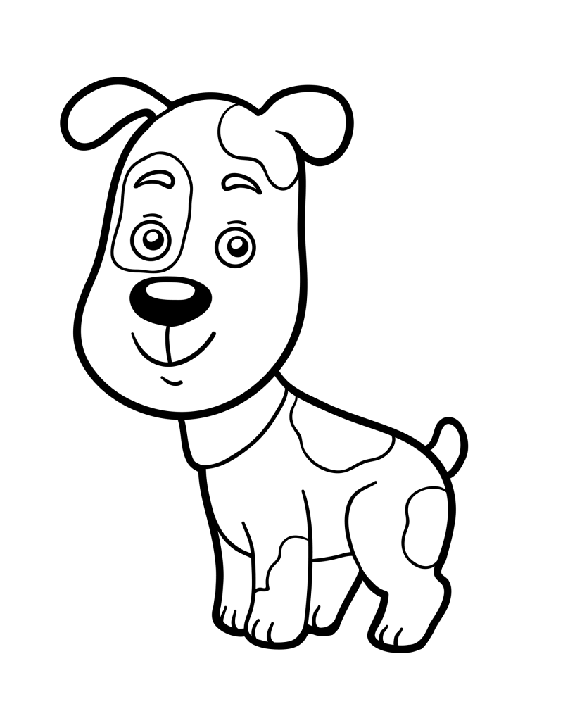 可爱的小动物-小狗