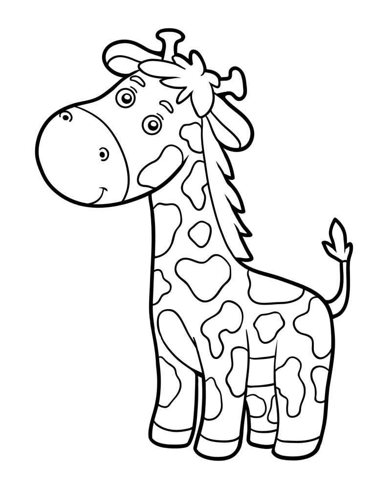 可爱的小动物-长颈鹿