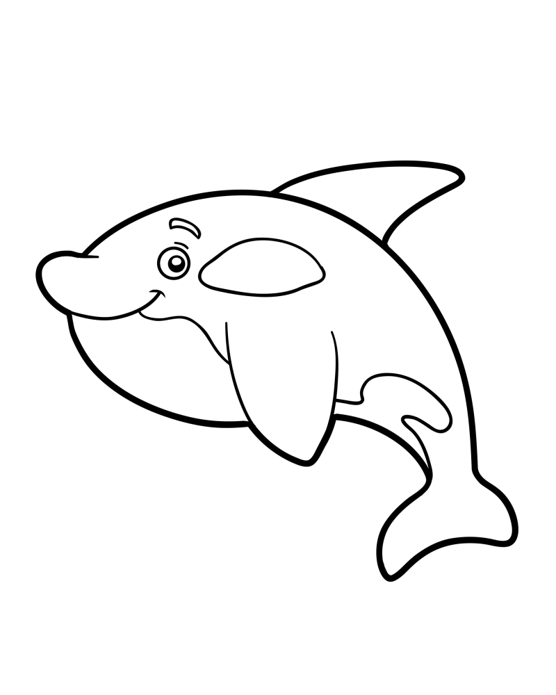 可爱的小动物-海豚