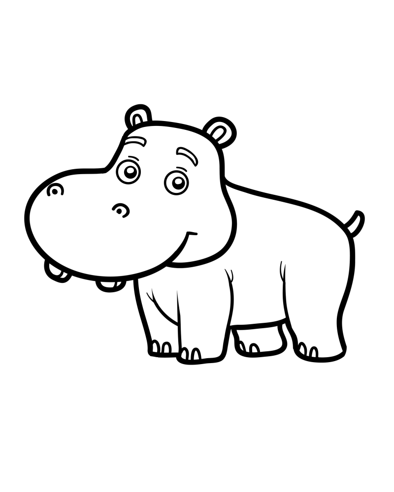 可爱的小动物-犀牛