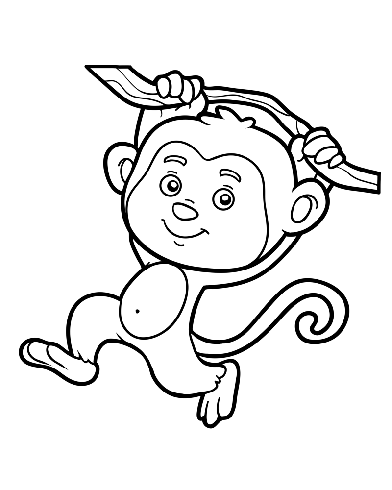 可爱的小动物-猴子