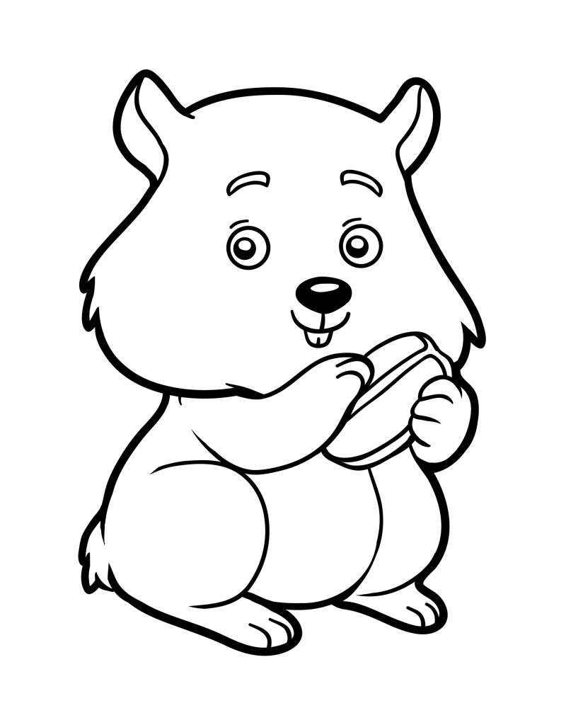 可爱的小动物-松鼠