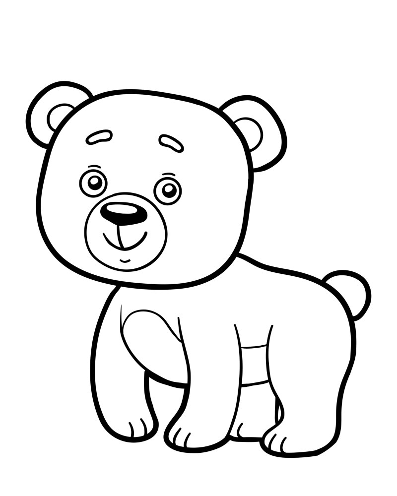 可爱的小动物-熊