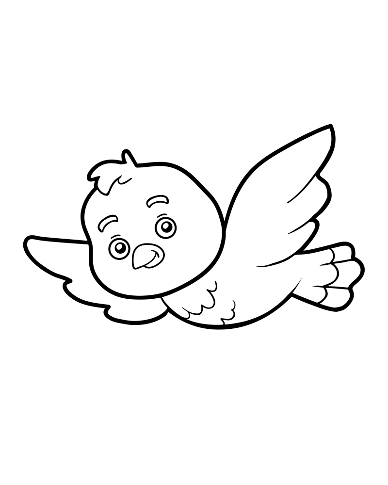 可爱的小动物-小鸟