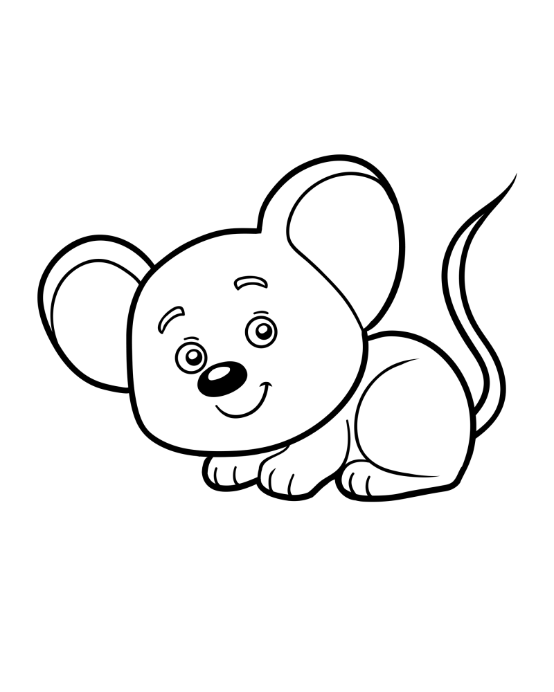 可爱的小动物-老鼠