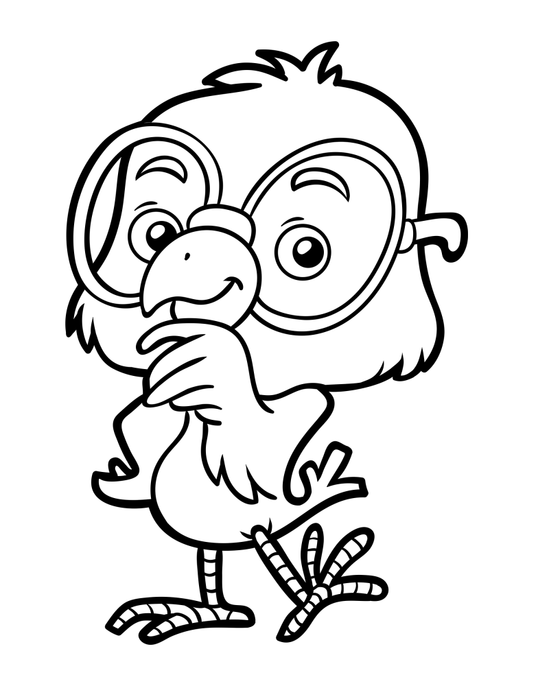 可爱的小动物-小鸟