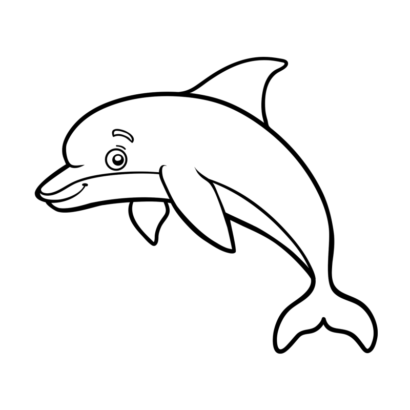海底动物-海豚