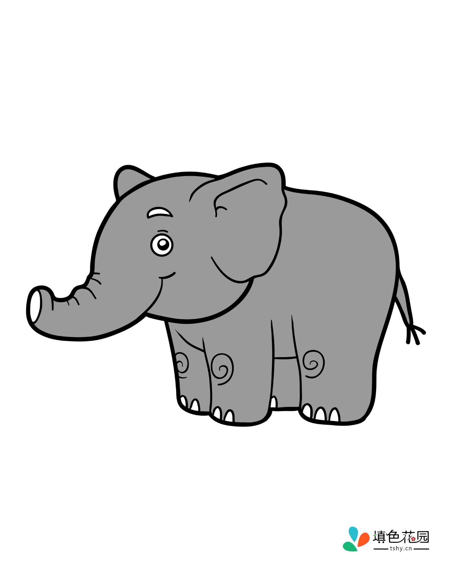 可爱的小动物-大象