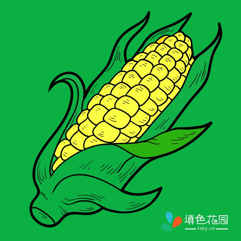 蔬菜，青菜，食物，玉米